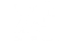 NEX Group Constructions